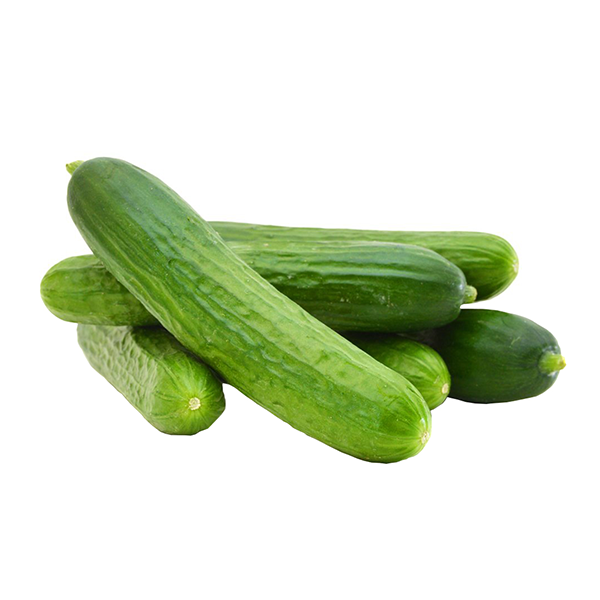 Salatalık