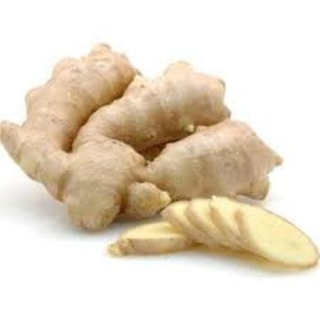 Zencefil