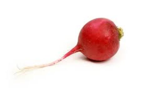 Turp